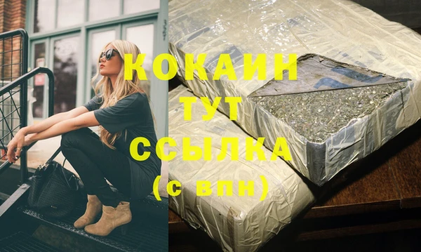 стаф Козловка