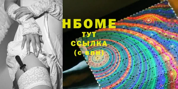 стаф Козловка