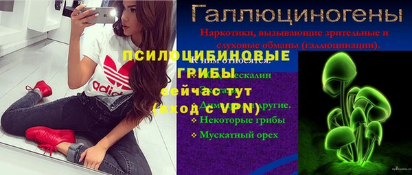 ГАЛЛЮЦИНОГЕННЫЕ ГРИБЫ Киренск