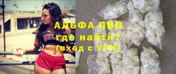стаф Козловка
