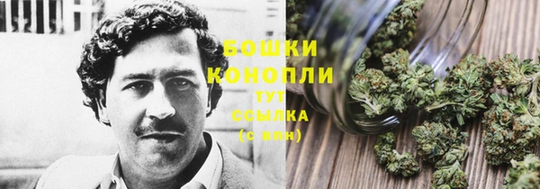 стаф Киреевск