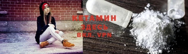 стаф Козловка