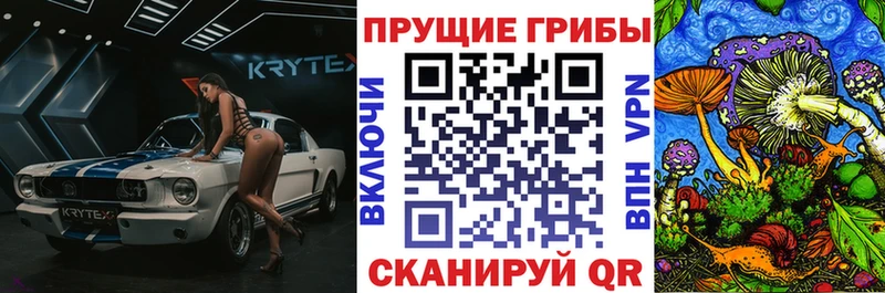 Купить  Верхний Тагил  Псилоцибиновые грибы MAGIC MUSHROOMS 