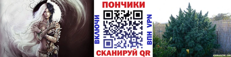 Бошки марихуана AK-47  Купить закладки  Верхний Тагил 